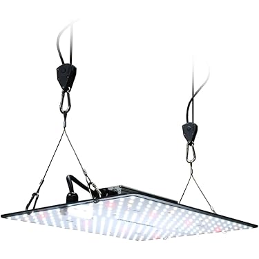 Amazon.co.jp 売れ筋ランキング: 植物育成ライト の中で最も人気のある